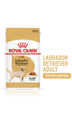 Royal Canin Dog Labrador Retriever Adult | Wet (saqueta) | 10 x 140 g