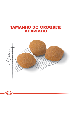 Royal Canin Cat Exigent Protein