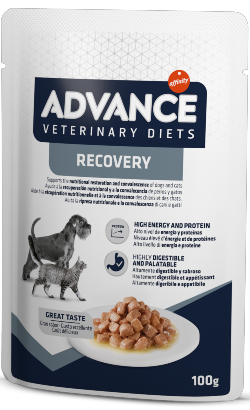 Advance Vet Dog & Cat Recovery | Wet (Saqueta) | 11 x 100 g