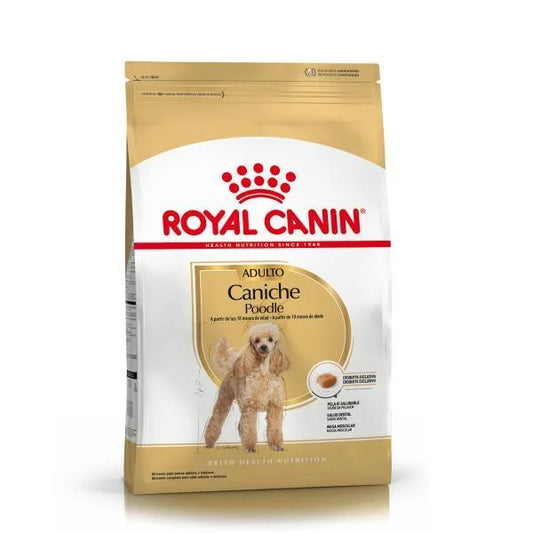Royal Canin Dog Caniche Adult