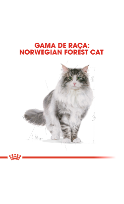 Royal Canin Cat Norwegian Forest Adult