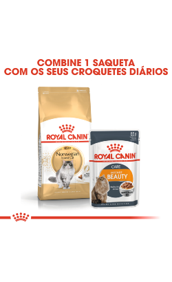 Royal Canin Cat Norwegian Forest Adult